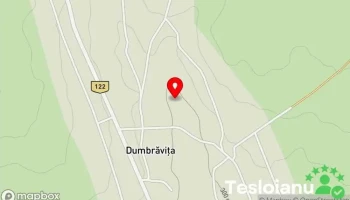 Dumbrăvița - Dumbrăvița