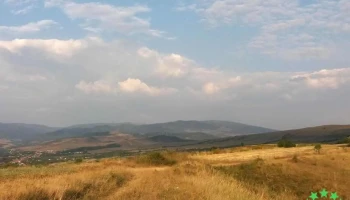 Dumitrița - Dumitrița