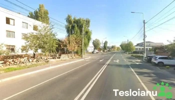 Ecucar Serv S.r.l. - Brăila 810176