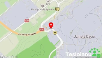 Euro auto plastic systems Srl - Mioveni 115400