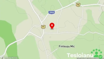 Finteușu Mic - Finteușu Mic