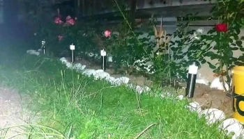 Fiţcău - Fiţcău