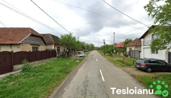Flonut Srl - România