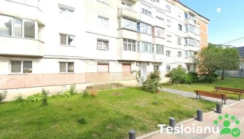 Folii auto Bacau - Bacău 607316