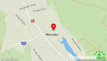 Frizeria Milcovățu - Romania