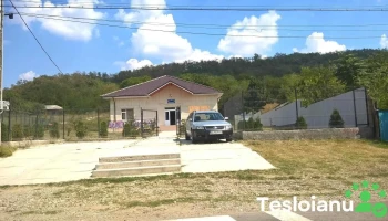 Frumușelu - Frumușelu