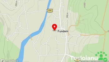 Fundeni - Fundeni
