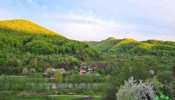 Furtunești - Furtunești