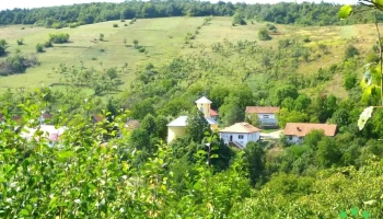 Gârnic - Gârnic