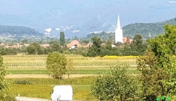 Ghindari - Ghindari