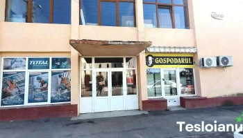Gospodarul - România