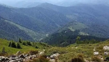 Groșii Țibleșului - Groșii Țibleșului