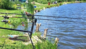 Gruiu - Romania
