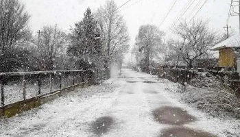 Grădiștea - Grădiștea