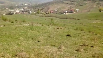 Guşoeni - Guşoeni