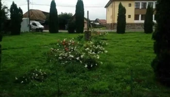 Gălăţeni - Gălăţeni