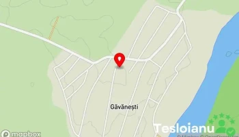 Găvăneşti - Găvăneşti