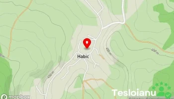 Habic - Habic