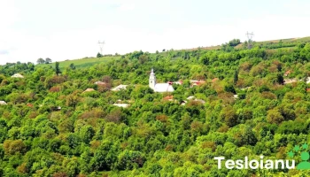 Ileanda - Ileanda