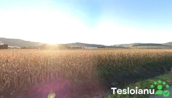 Itl Agrocomplex. - 121d