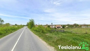 Itp Rojiste - Rojişte