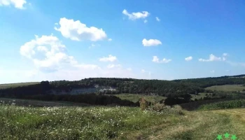 Jichișu de Sus - Jichișu De Sus