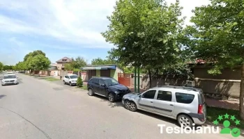 Kmeleon Service - Cățelu 077106