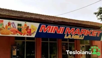 La Nelu - Piscu 807245
