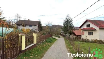 La Ticu - Bughea De Jos