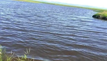 Lac Salbatic - Comuna Fulga