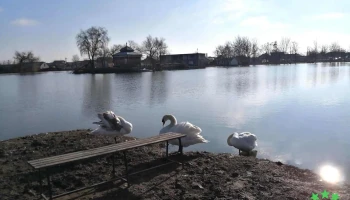 Lac - Sânnicolau Mare 305600