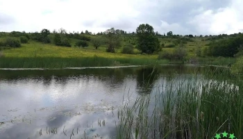 Lac Suncuius - Romania