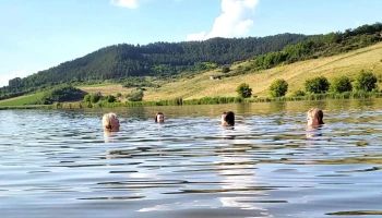 lac Toldal - Dj153B
