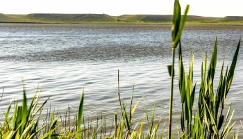Lac Zavoaia - Zăvoaia