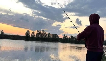 Lacul de pescuit a lui Diego - Com Vișina, Sat Broșteni, Db - Vişina 137515