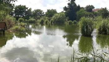 Lacul Verde Sancraiu de Mures - Sâncraiu De Mureș