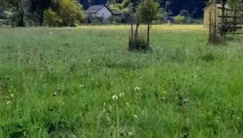 Leordina - Leordina