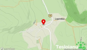 Lepindea - Lepindea