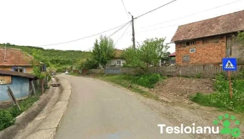 Lucianomir Transservice Srl - Pălatca
