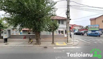 Magazin Romancuta Costesti - Costești