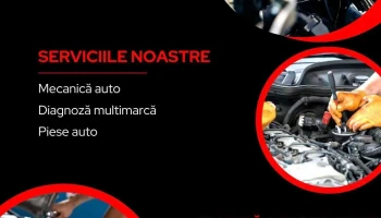 Maleca Auto Service - Tulcea 820220