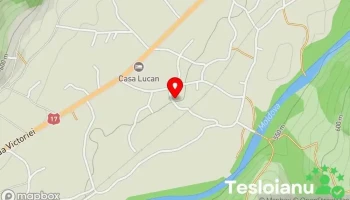 Mec costea - Vama