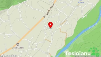 Mecanica Costea.tch. S.r.l. - Vama