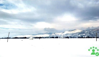 Merișor - Merișor