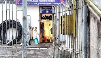 Metalica - Suceava