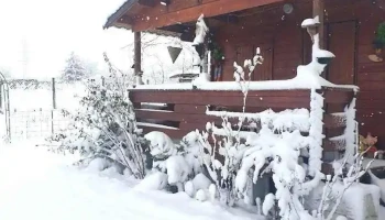 Mlecănești - Mlecănești