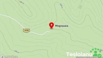 Mogoaia - Mogoaia