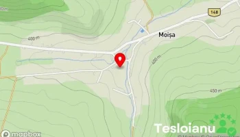 Moișa - Moișa