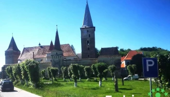 Moșna - Moșna
