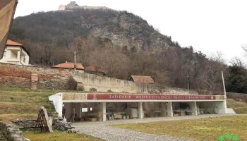 Muzeul Civilizației Dacice și Romane - Deva